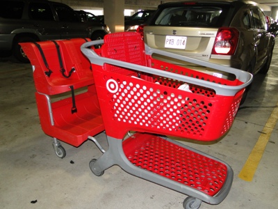 20110126 target's cart.jpg